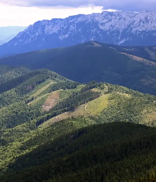 Kahlschlag an Berghängen der rumänischen Karpaten