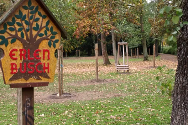 frisch gepflanzte Erlen mit Schild:Erlenbusch