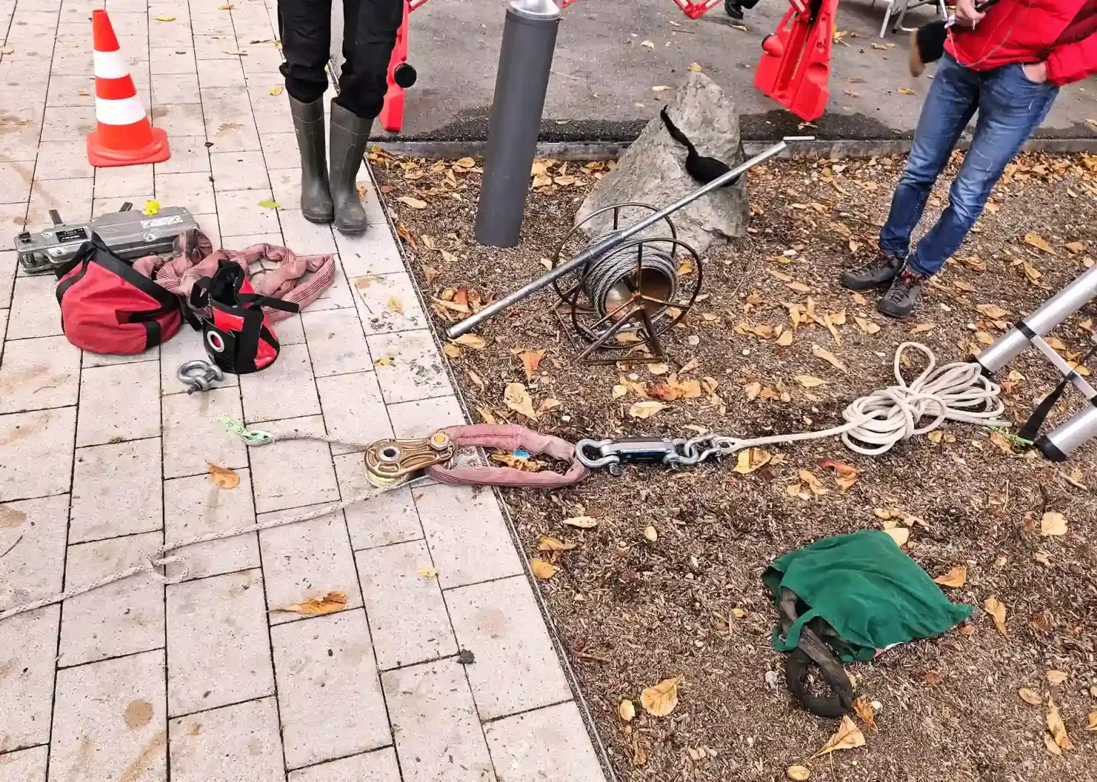 baumgutachten-zugversuch-berlin BaumBüttner